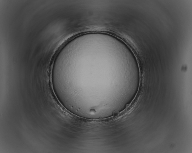 X0000089931212200707131425