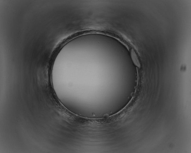 X0000089931214200707131425