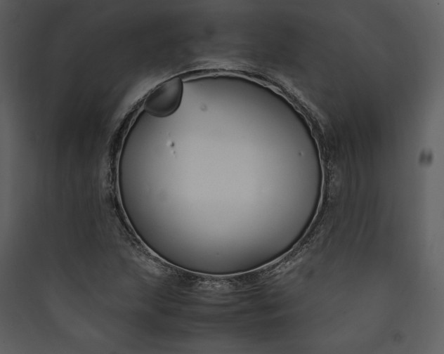 X0000089931215200707131425