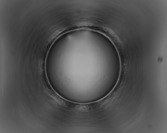 X0000089931217200707131425