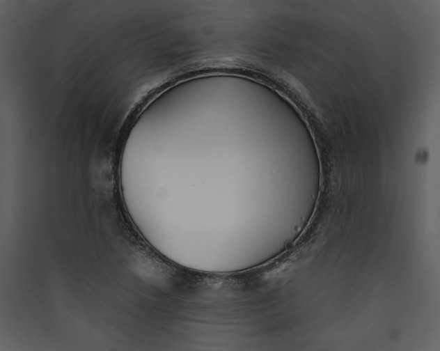 X0000089931218200707131425