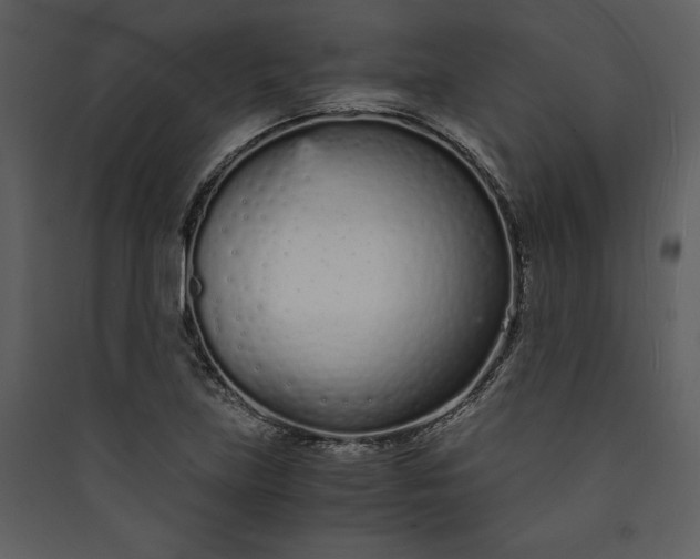 X0000089931219200707131425