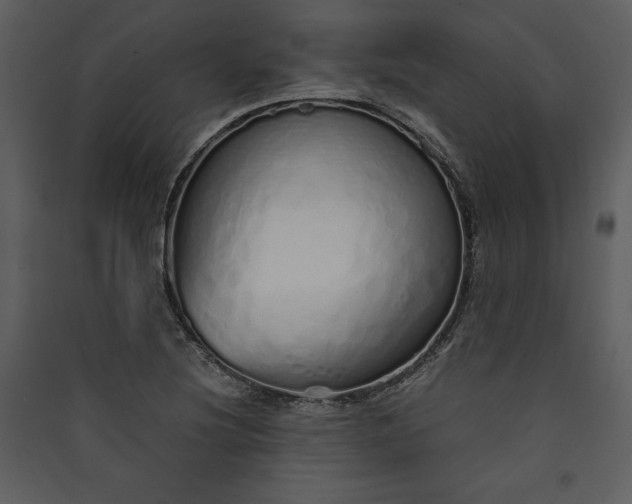 X0000089931220200707131425