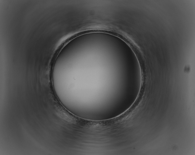 X0000089931222200707131425