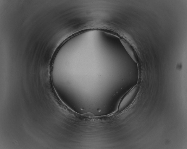 X0000089931226200707131425