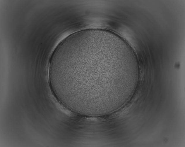 X0000089931227200707131425