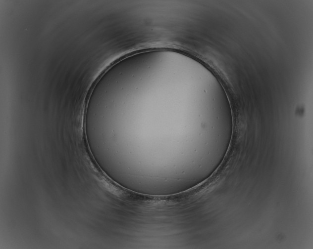 X0000089931228200707131425