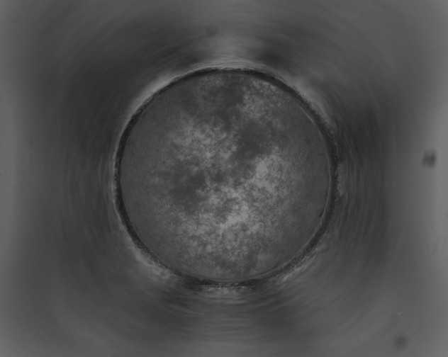 X0000089931229200707131425