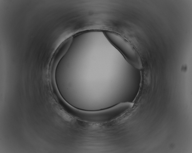 X0000089931230200707131425