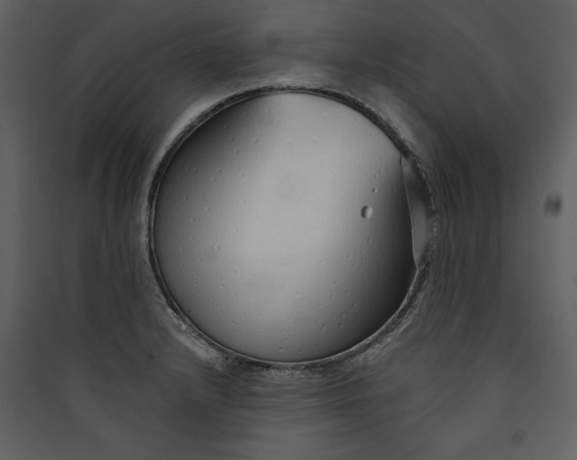 X0000089931232200707131425