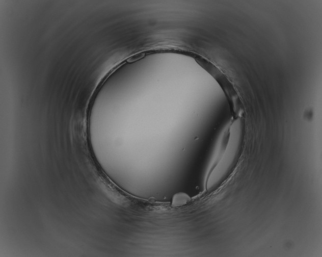 X0000089931234200707131425