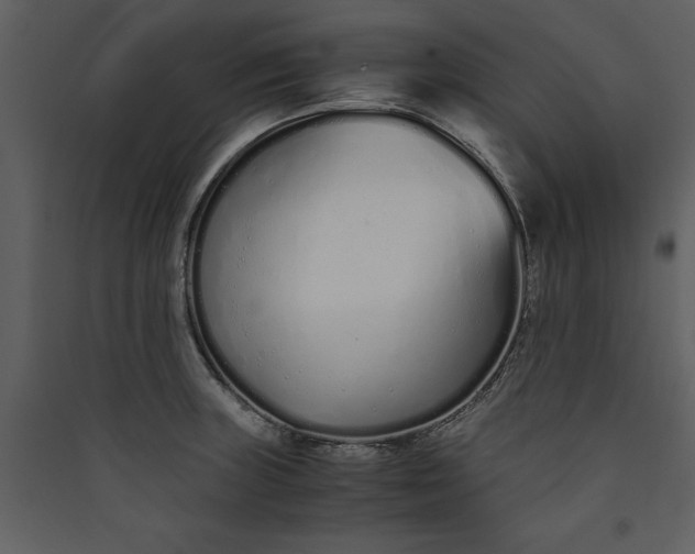 X0000089931235200707131425