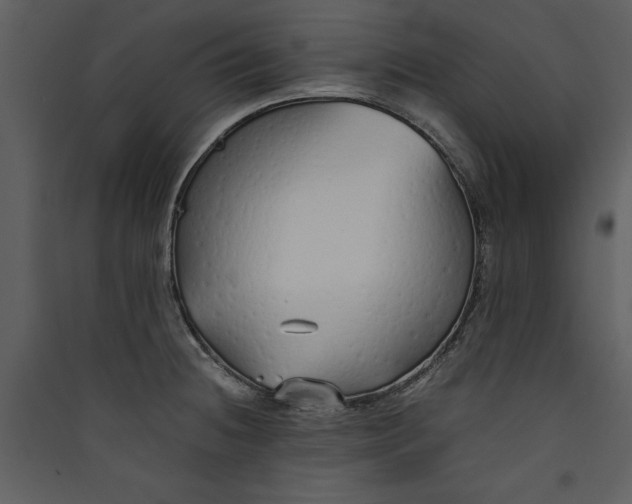 X0000089931236200707131425