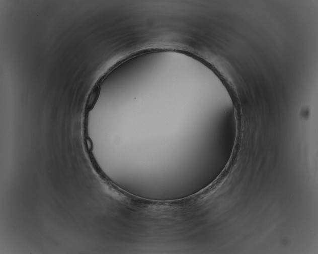 X0000089931237200707131425