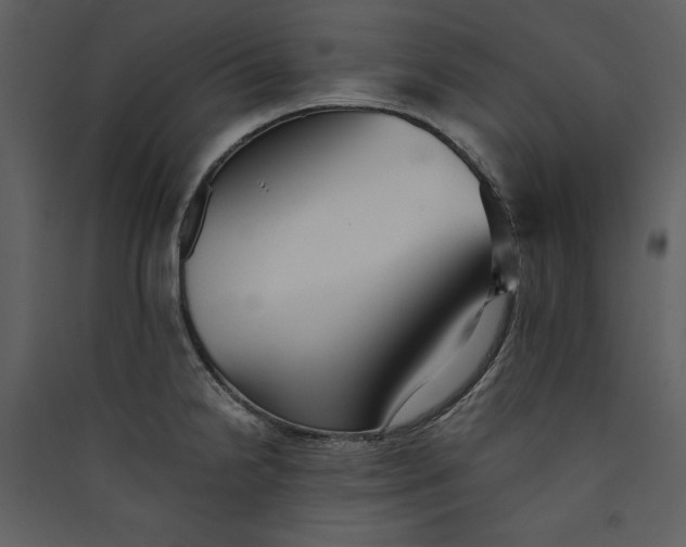 X0000089931238200707131425