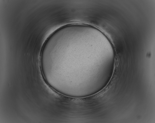 X0000089931239200707131425