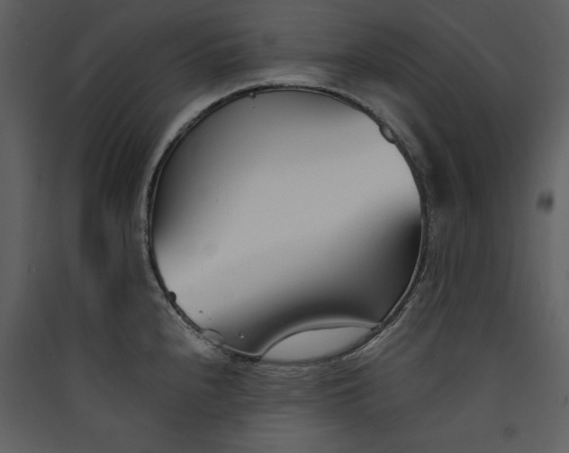 X0000089931240200707131425