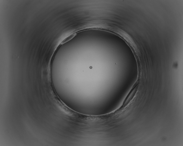 X0000089931242200707131425