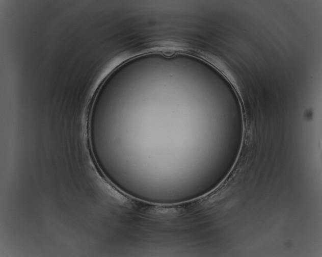 X0000089931243200707131425