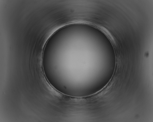 X0000089931244200707131425