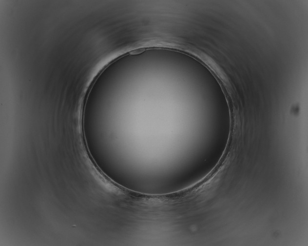 X0000089931246200707131425