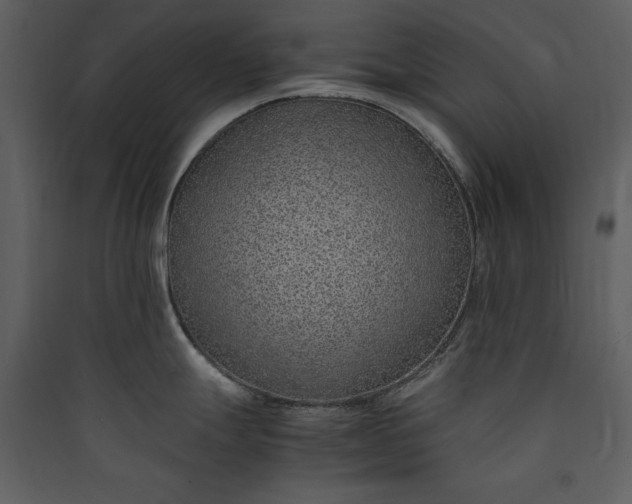 X0000089931247200707131425