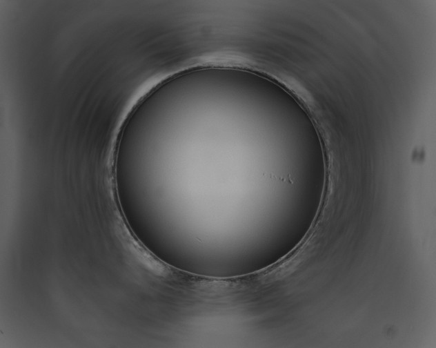 X0000089931248200707131425