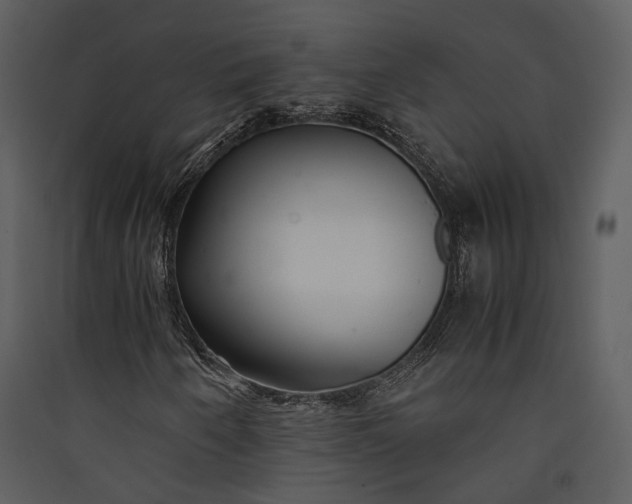 X0000089931250200707131425