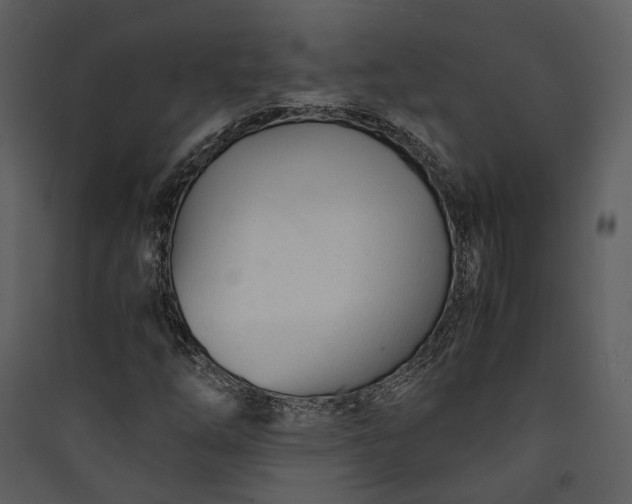 X0000089931254200707131425