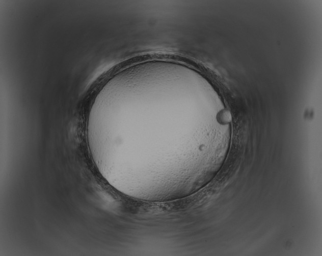 X0000089931255200707131425