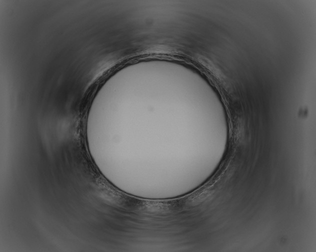 X0000089931258200707131425