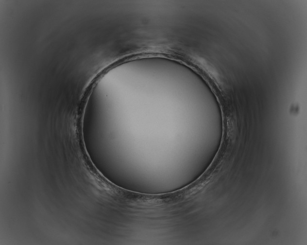 X0000089931260200707131425