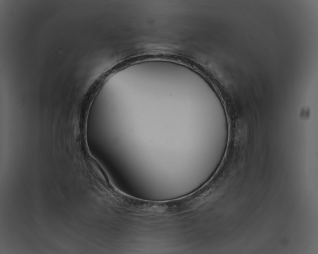 X0000089931261200707131425