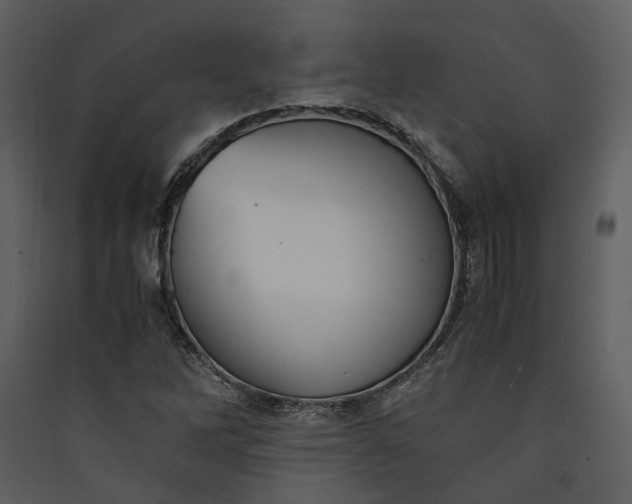 X0000089931262200707131425