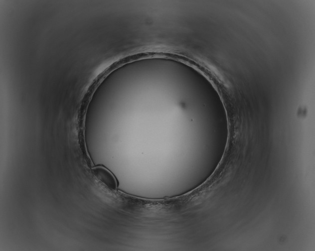 X0000089931264200707131425