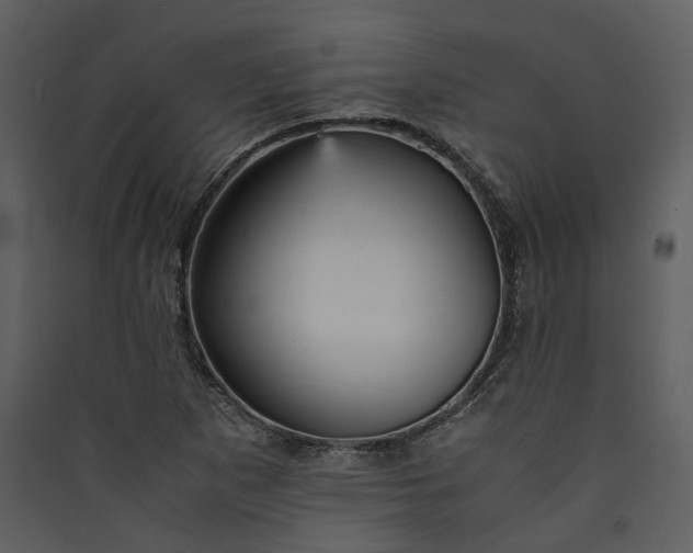 X0000089931265200707131425