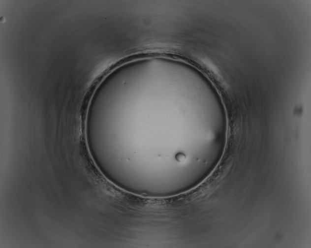 X0000089931267200707131425