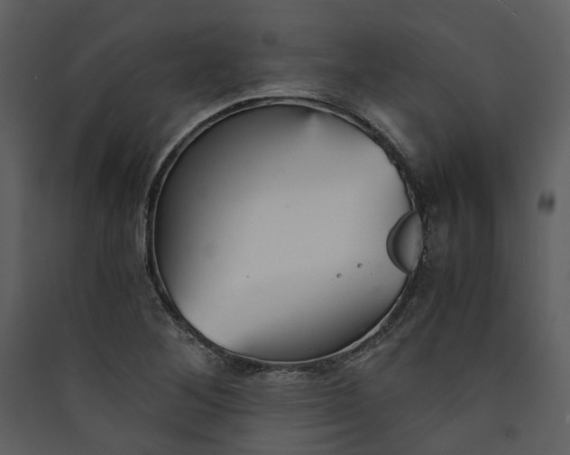 X0000089931268200707131425