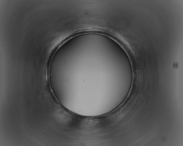 X0000089931269200707131425