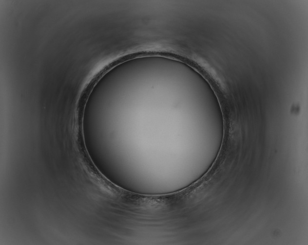 X0000089931270200707131424