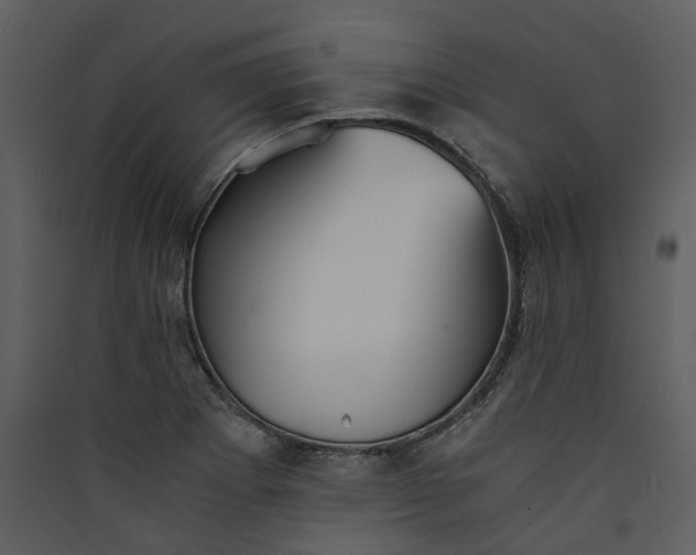 X0000089931273200707131424