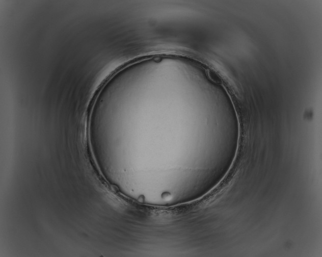 X0000089931275200707131424