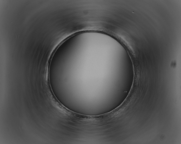 X0000089931276200707131424