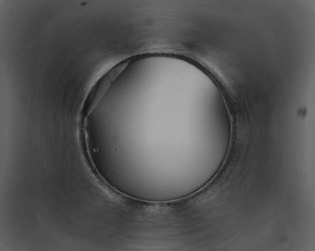 X0000089931277200707131424