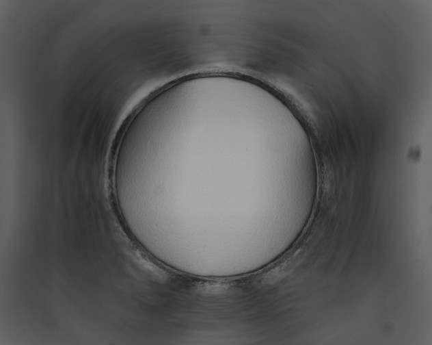 X0000089931278200707131424