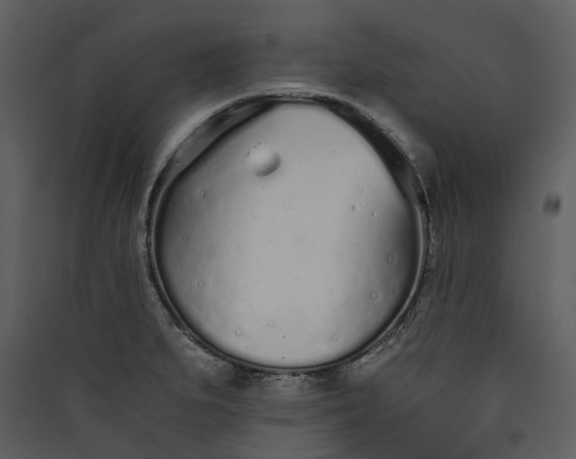 X0000089931279200707131424