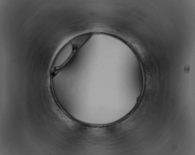 X0000089931280200707131424