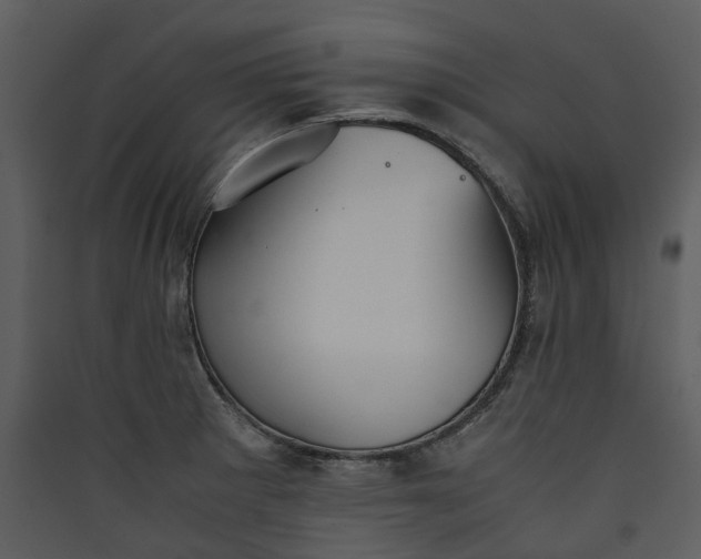 X0000089931281200707131424