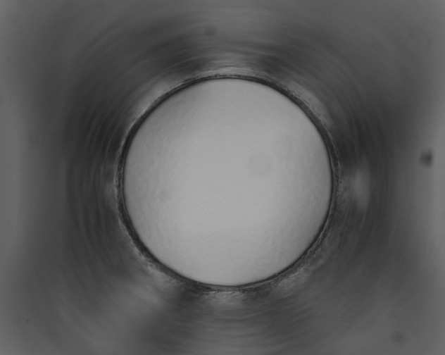 X0000089931282200707131424