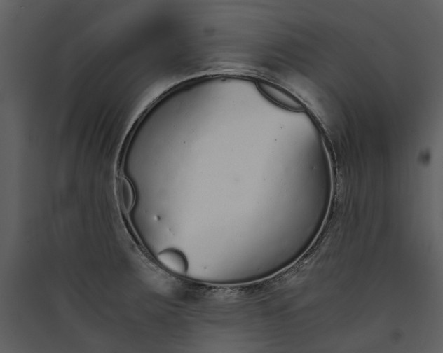 X0000089931283200707131424